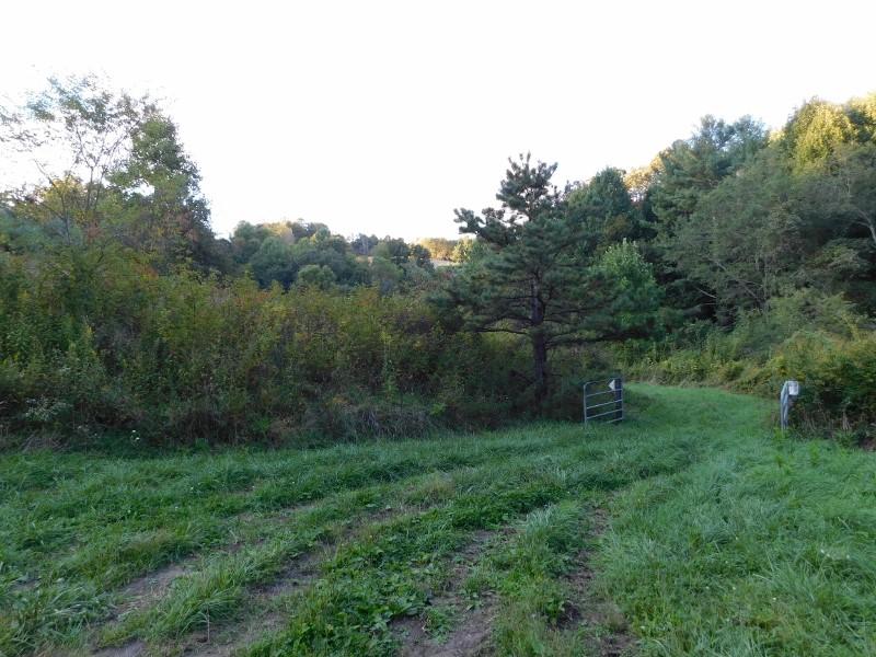 7 Simpkins Road Willis, VA 24380 - Photo 3 of 32 a view of a grassy field with trees in the background