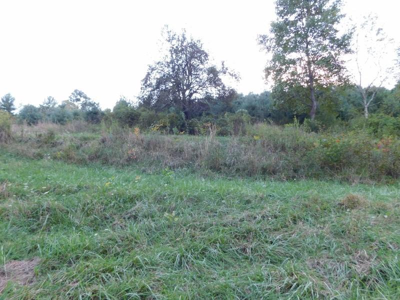 7 Simpkins Road Willis, VA 24380 - Photo 6 of 32 a big yard with lots of green space