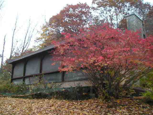 728 South Shore Road Edinburg, NY 12134 - Photo 8 of 11 Photo 8
