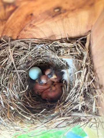 $297,400 | 4215 Wimbledon Drive, Lawrence, KS 66047