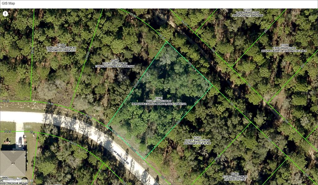 15570 Cliff Swallow Road Weeki Wachee, FL 34614 - Photo 3 of 4 a view of a forest with a tree