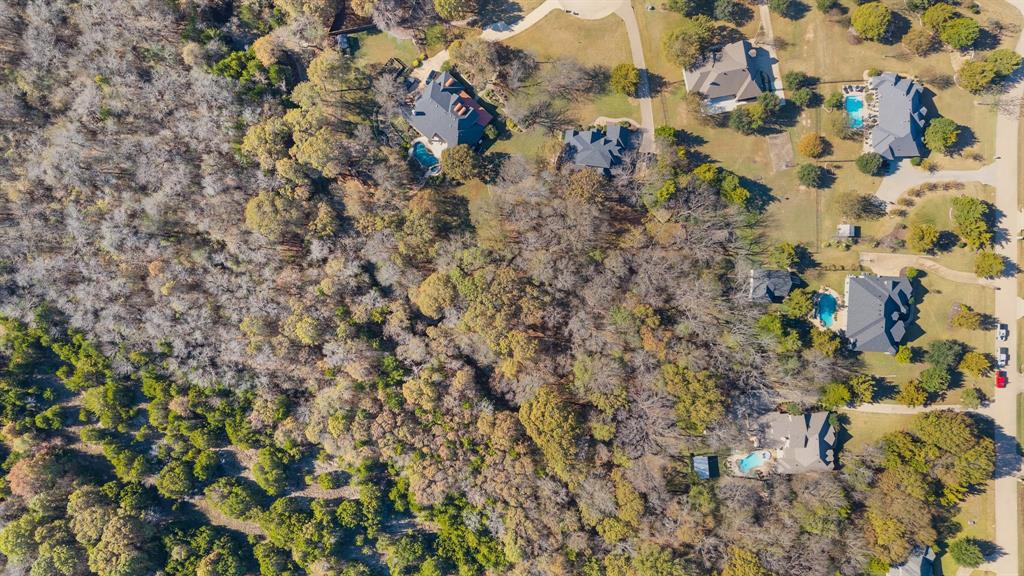 3840 Angela Court Midlothian, TX 76065 - Photo 39 of 40 a view of a plant with lots of bushes