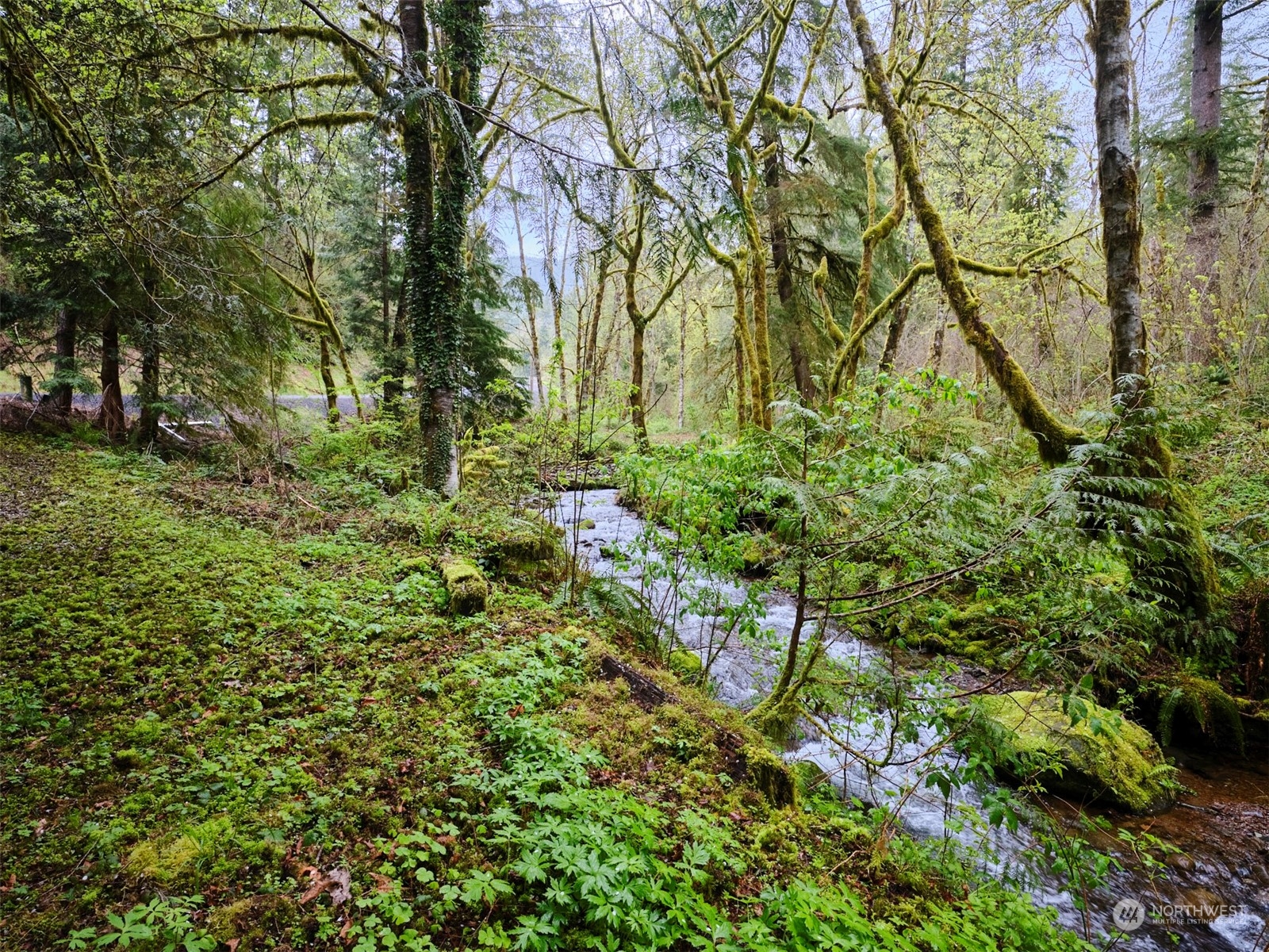 9 Kellogg Road Ariel, WA 98603 - Photo 13 of 15 Gallery Image 13