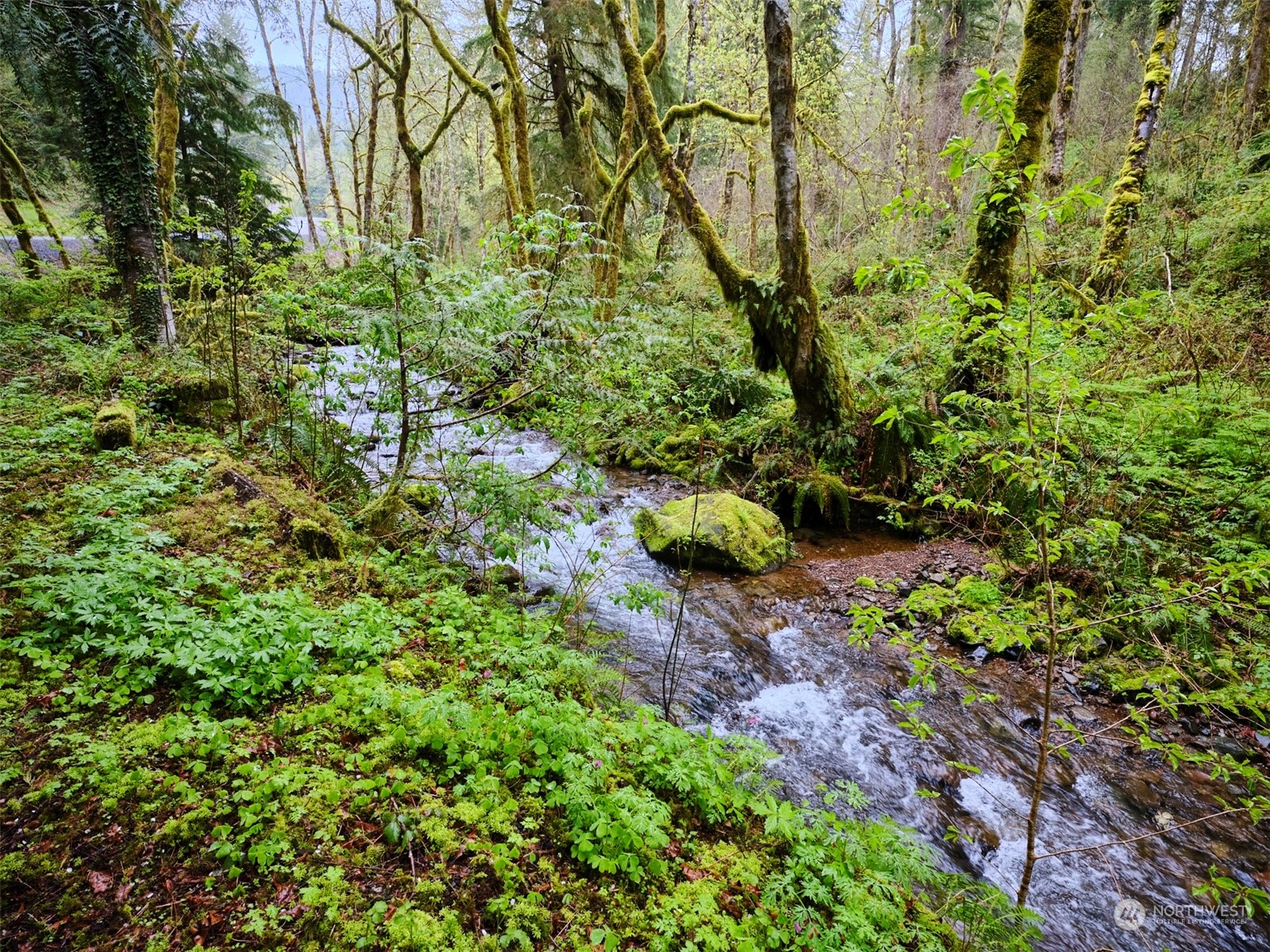 9 Kellogg Road Ariel, WA 98603 - Photo 2 of 15 Gallery Image 2