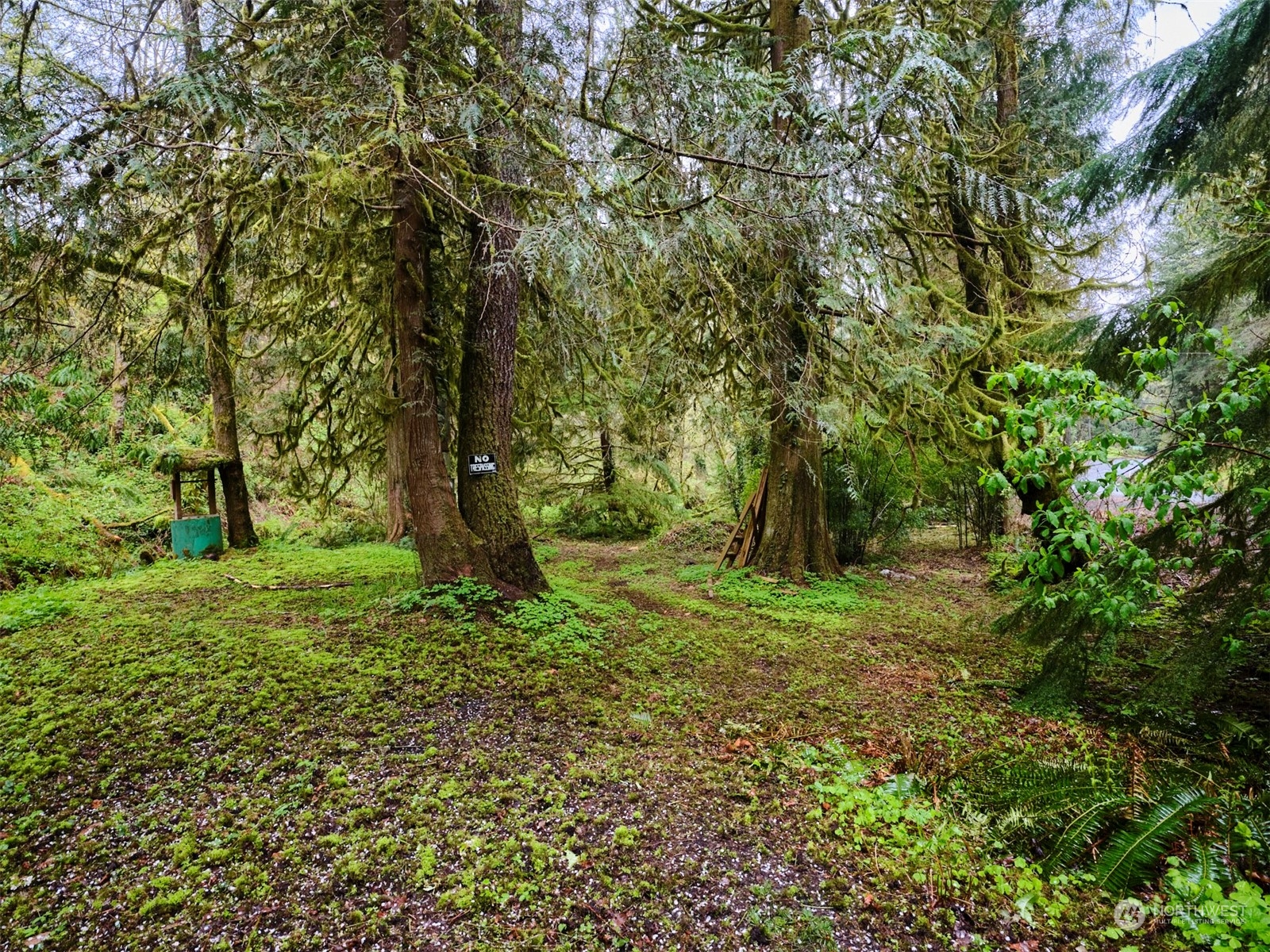 9 Kellogg Road Ariel, WA 98603 - Photo 4 of 15 Gallery Image 4