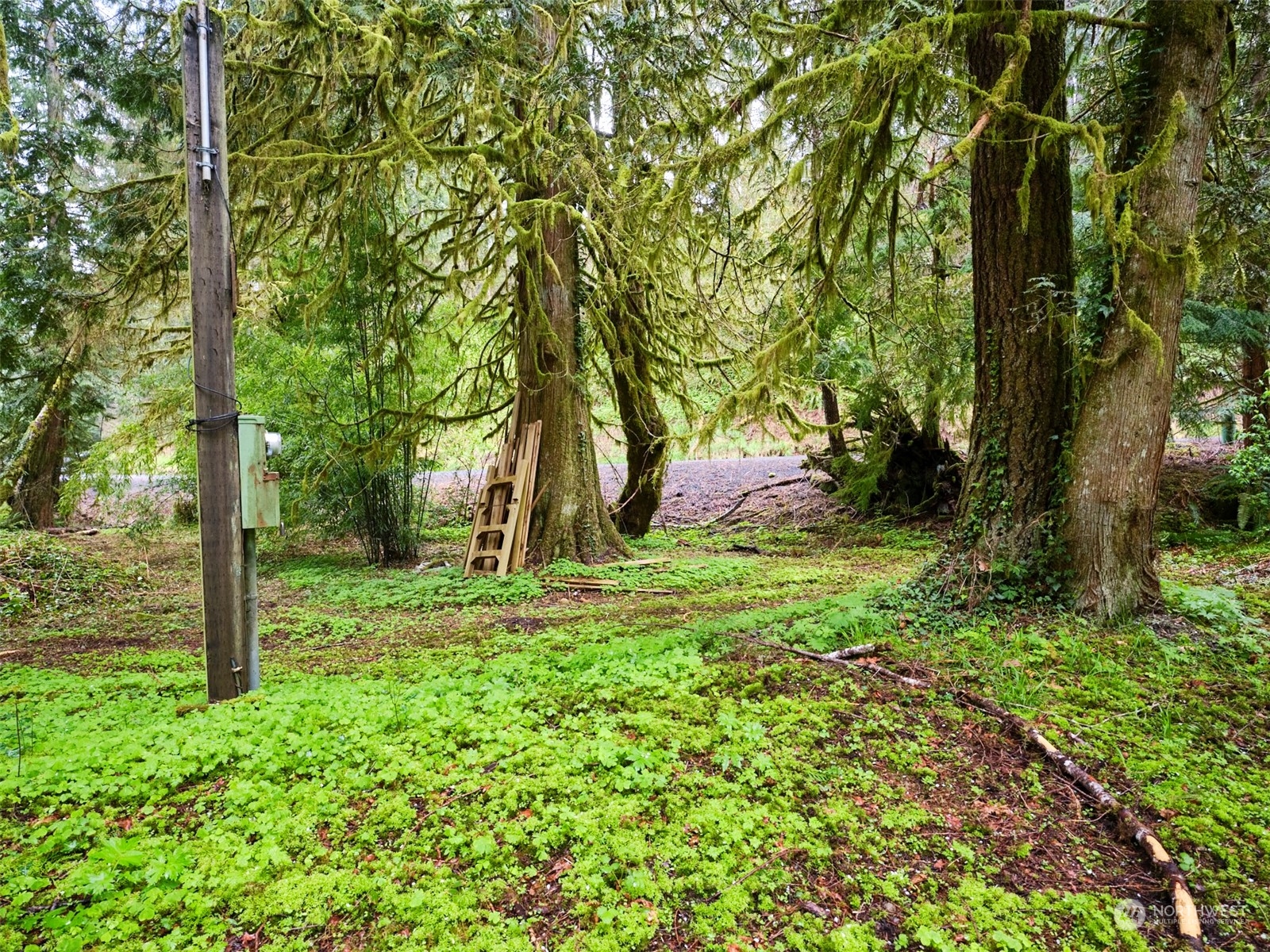 9 Kellogg Road Ariel, WA 98603 - Photo 5 of 15 Gallery Image 5
