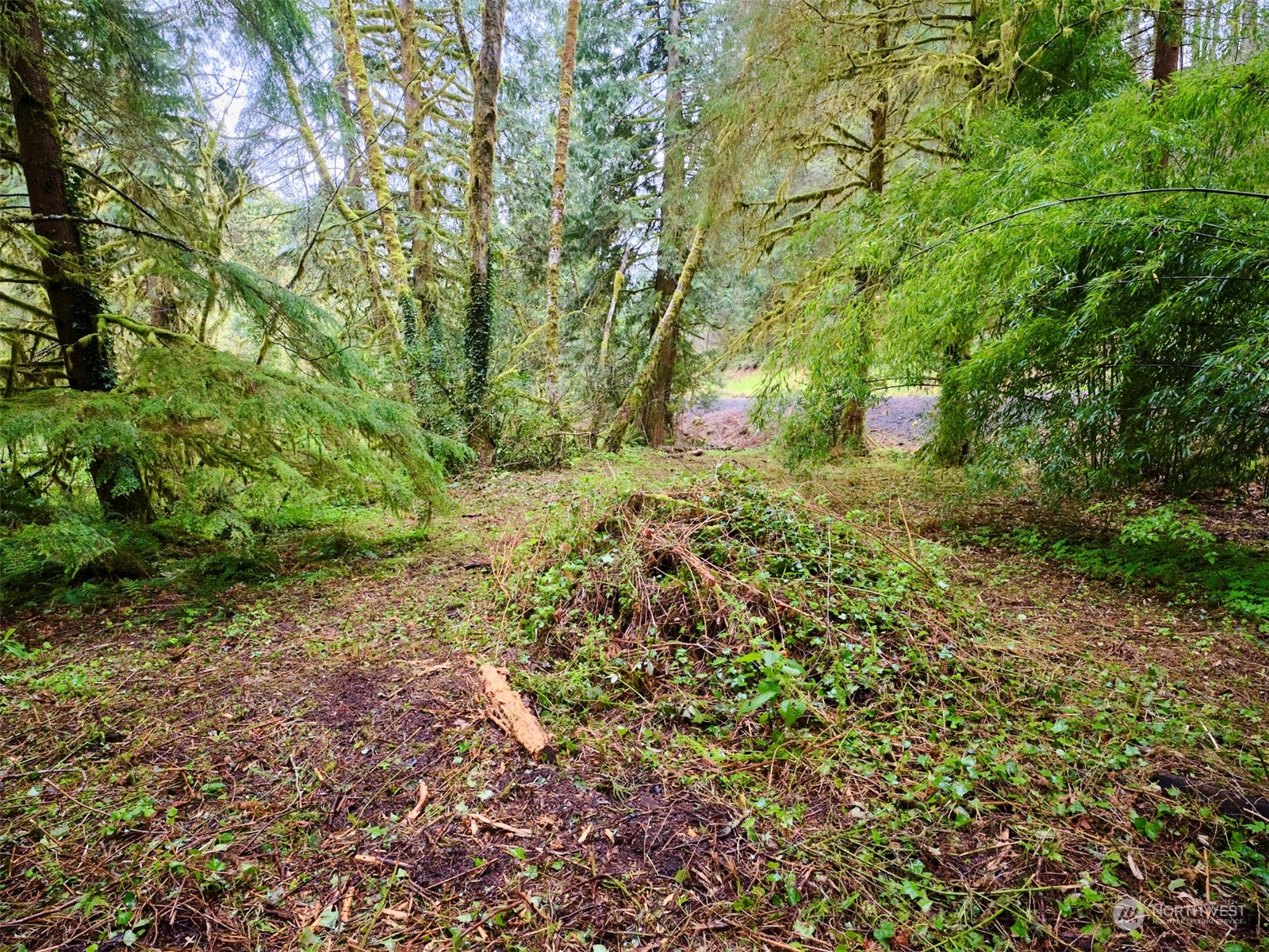9 Kellogg Road Ariel, WA 98603 - Photo 8 of 15 Gallery Image 8