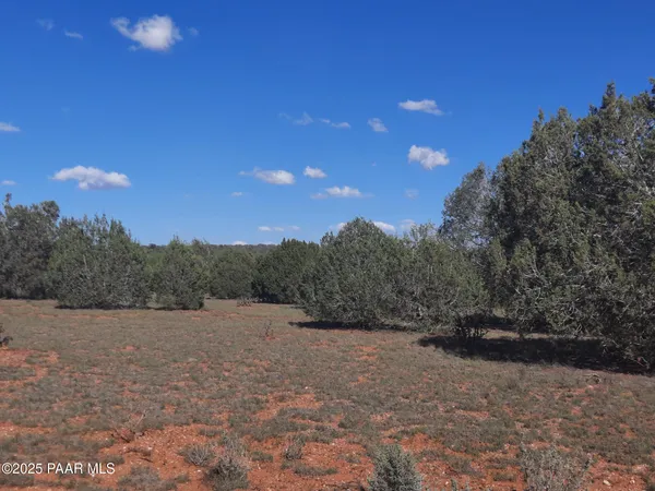 $9,000 | 54243 North N Via, Seligman, AZ 86337