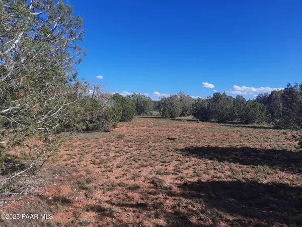 $9,000 | 54243 North N Via, Seligman, AZ 86337