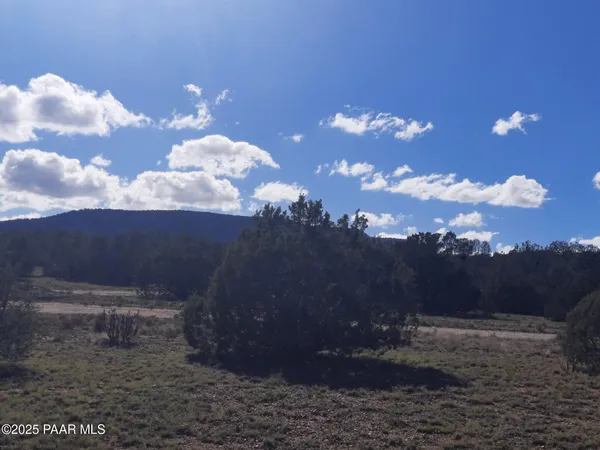 $9,000 | 54243 North N Via, Seligman, AZ 86337