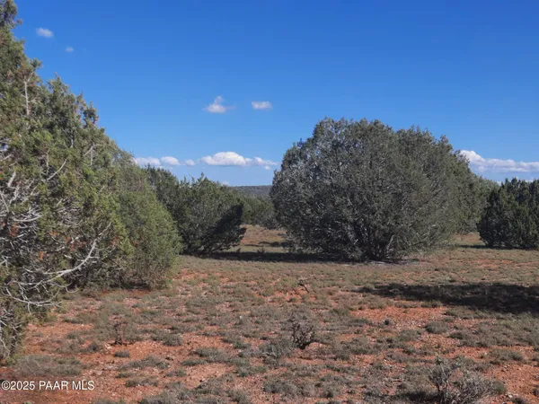 $9,000 | 54243 North N Via, Seligman, AZ 86337