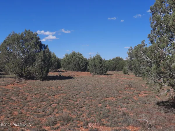 $9,000 | 54243 North N Via, Seligman, AZ 86337