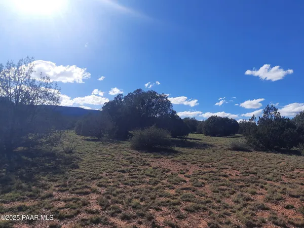 $9,000 | 54243 North N Via, Seligman, AZ 86337