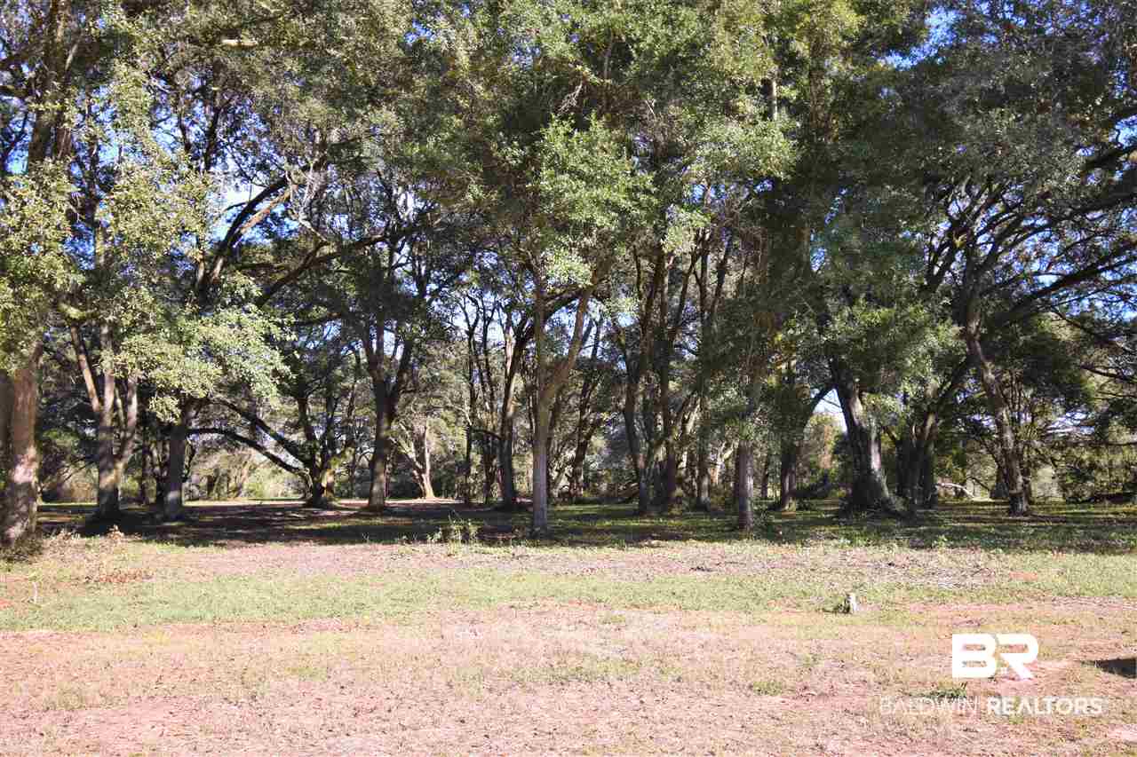 0 Mandrell Lane Fairhope, AL 36532 - Photo 2 of 4