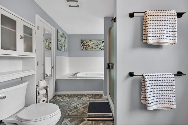 a bathroom with a toilet a sink and a bathtub