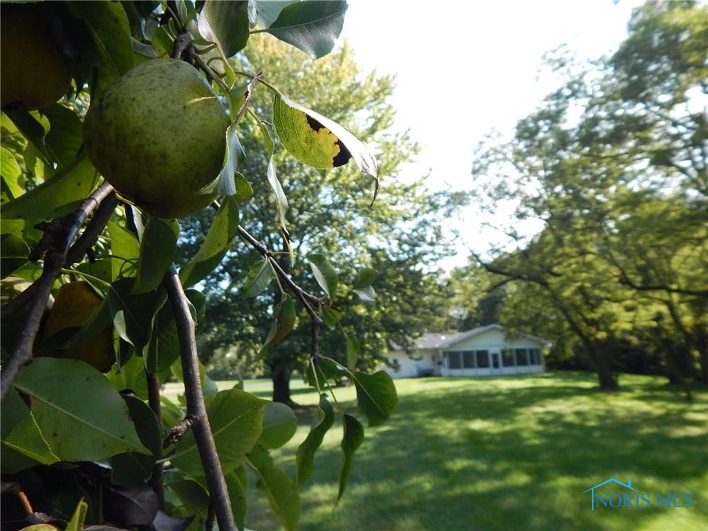 18579 Range Line Road Bowling Green, OH 43402 - Photo 12 of 20 Gallery Image 12