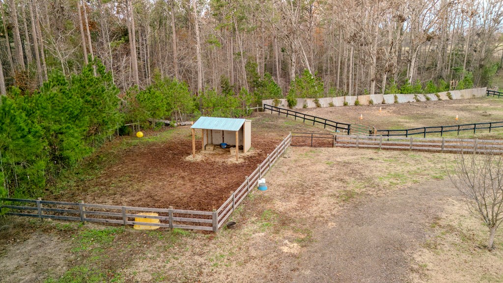 181 Tuck Road Bradley, SC 29819 - Photo 13 of 43 Gallery Image 13