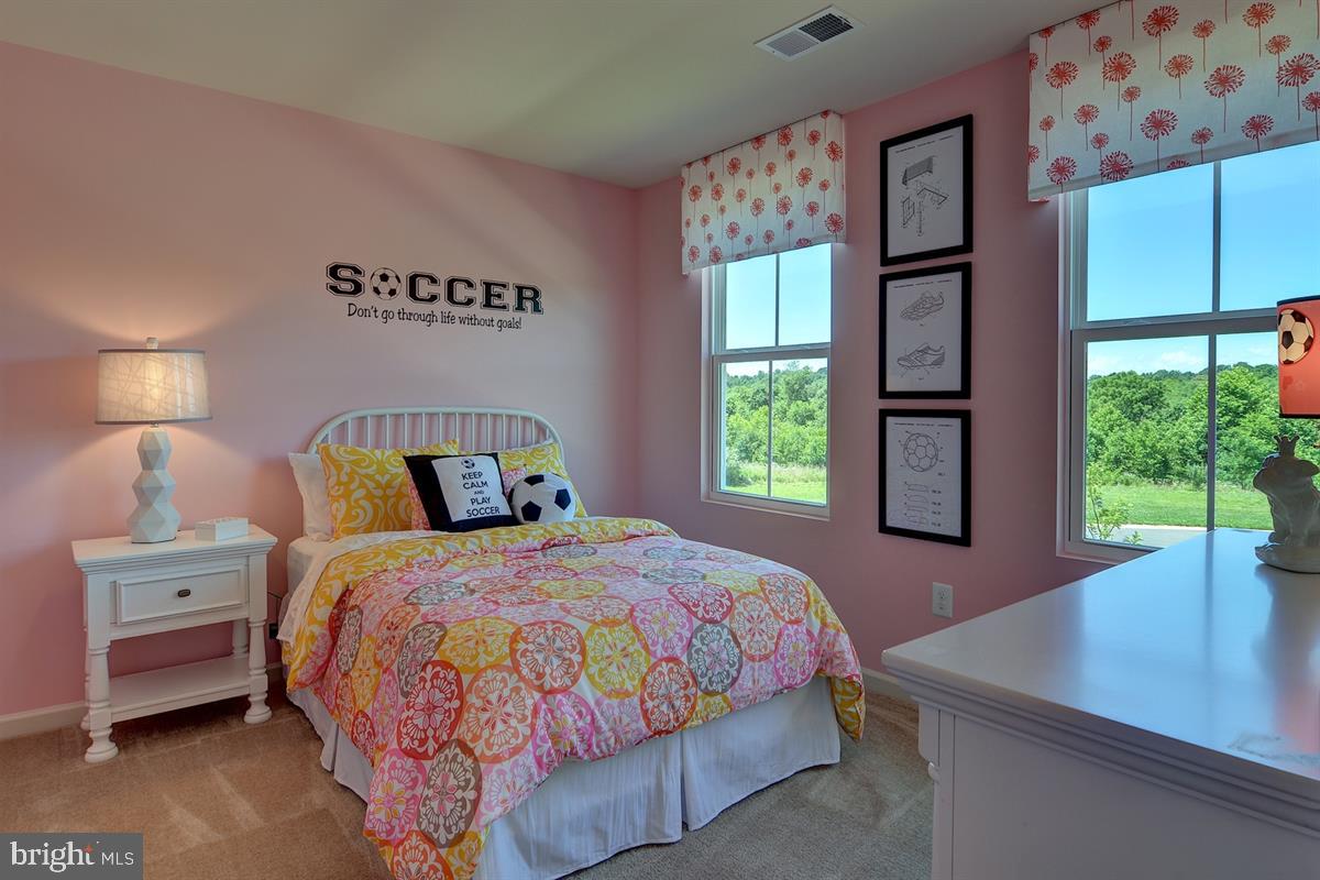 10004 Bird River Road Middle River, MD 21220 - Photo 13 of 21 Bedroom with Walk In Closet