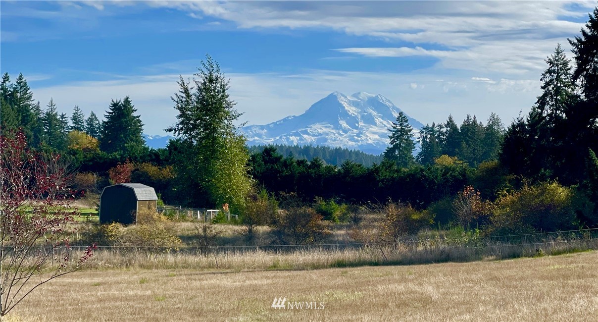 12150 Vail Road Southeast Yelm, WA 98597 - Photo 38 of 40 Gallery Image 38