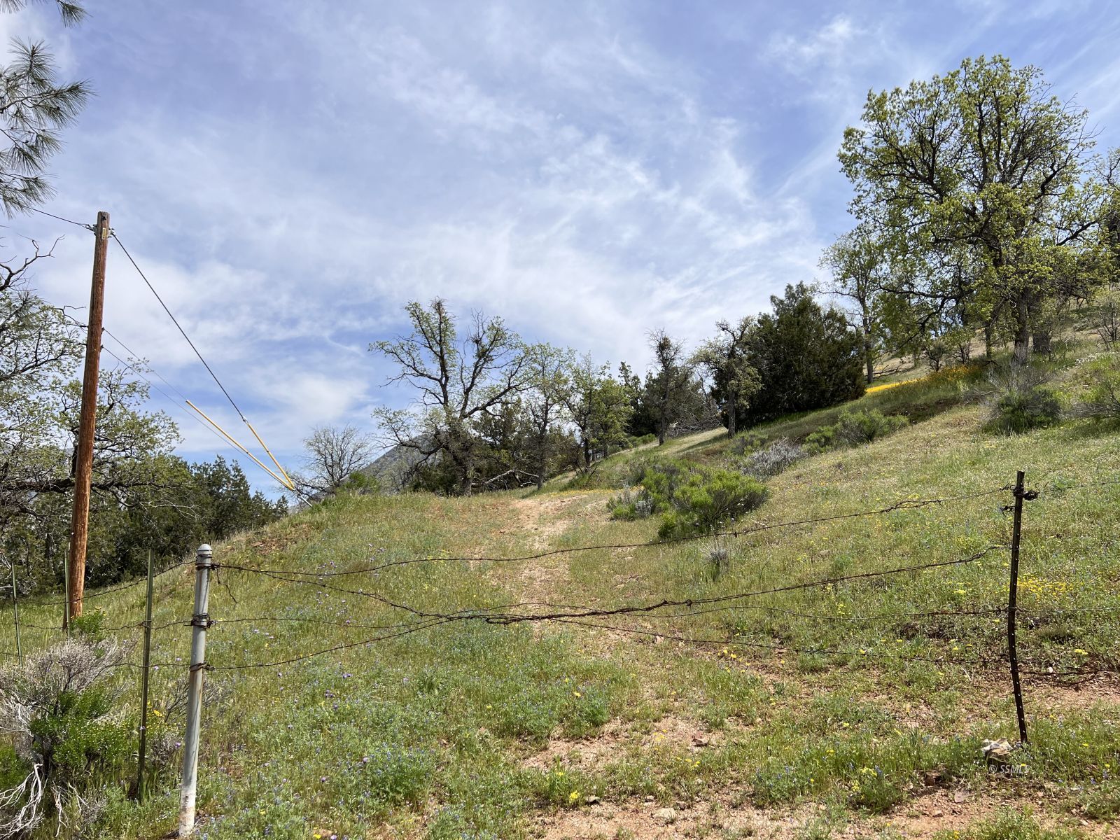Hughes Rd Lake Bodfish, CA 93205 - Photo 14 of 19 Gallery Image 14