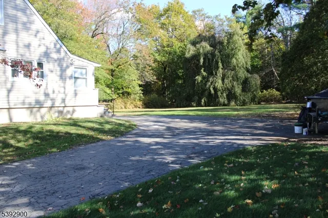 a view of a park with large trees