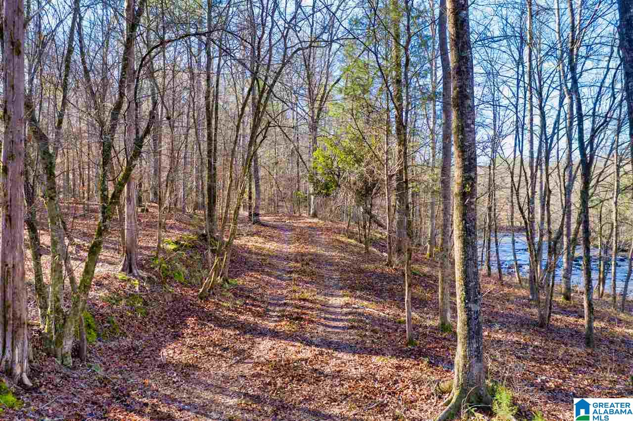 0 County Road 8, Unit 1 Clanton, AL 35045 - Photo 5 of 30