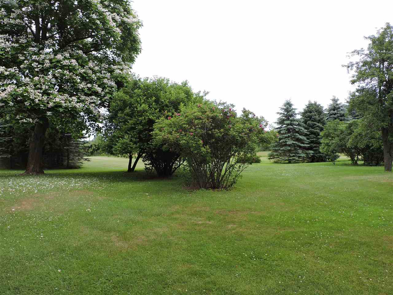 2386 North Flajole Road Rhodes, MI 48652 - Photo 18 of 22