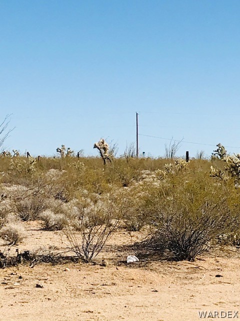 10 South Cameron Road Yucca, AZ 86438 - Photo 8 of 24 a view of a dry yard