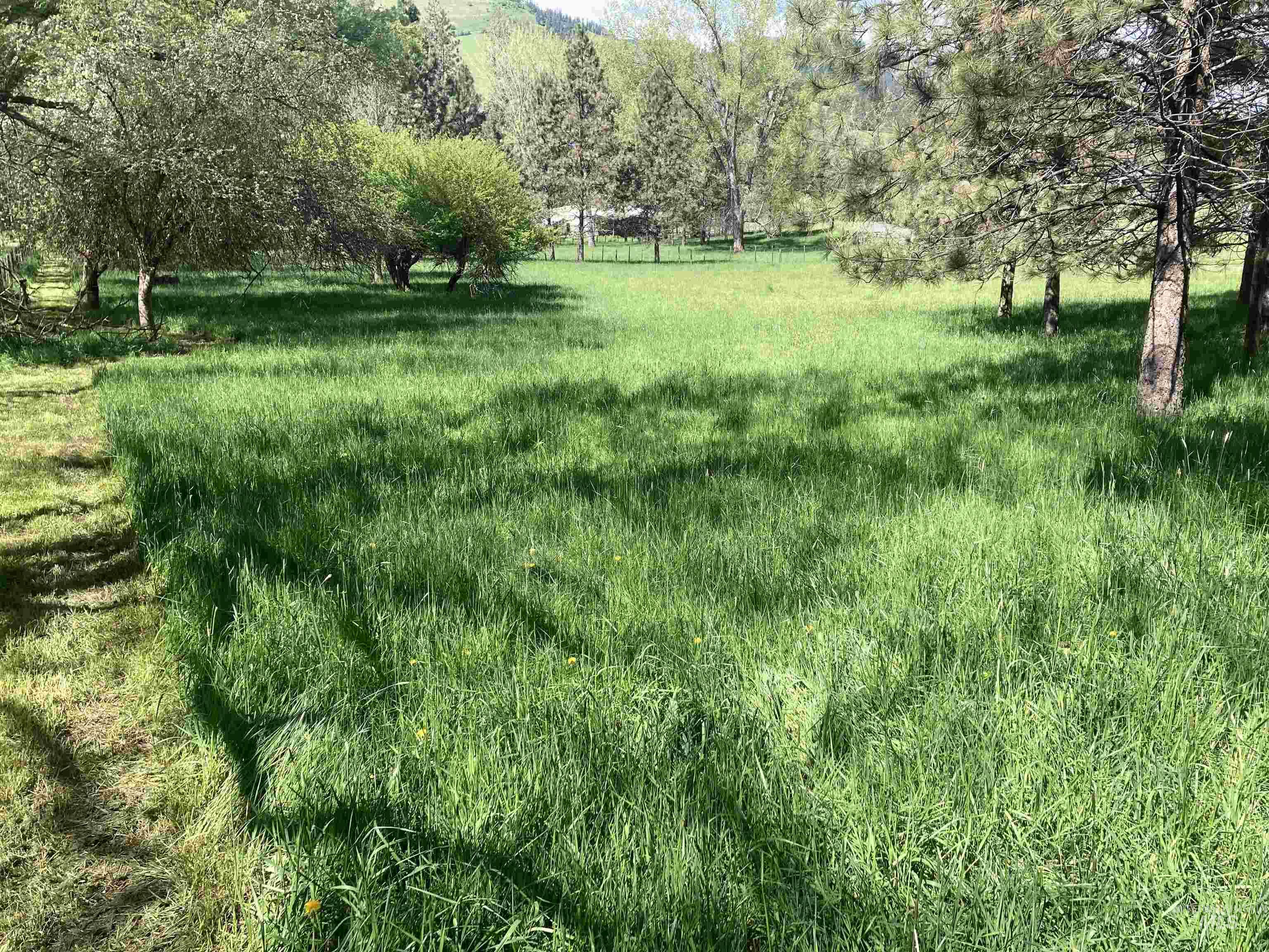 Tbd Cashway Road Kamiah, ID 83536 - Photo 7 of 8 Gallery Image 7