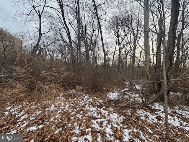 11741 Telfair Road Philadelphia, PA 19154 - Photo 10 of 13