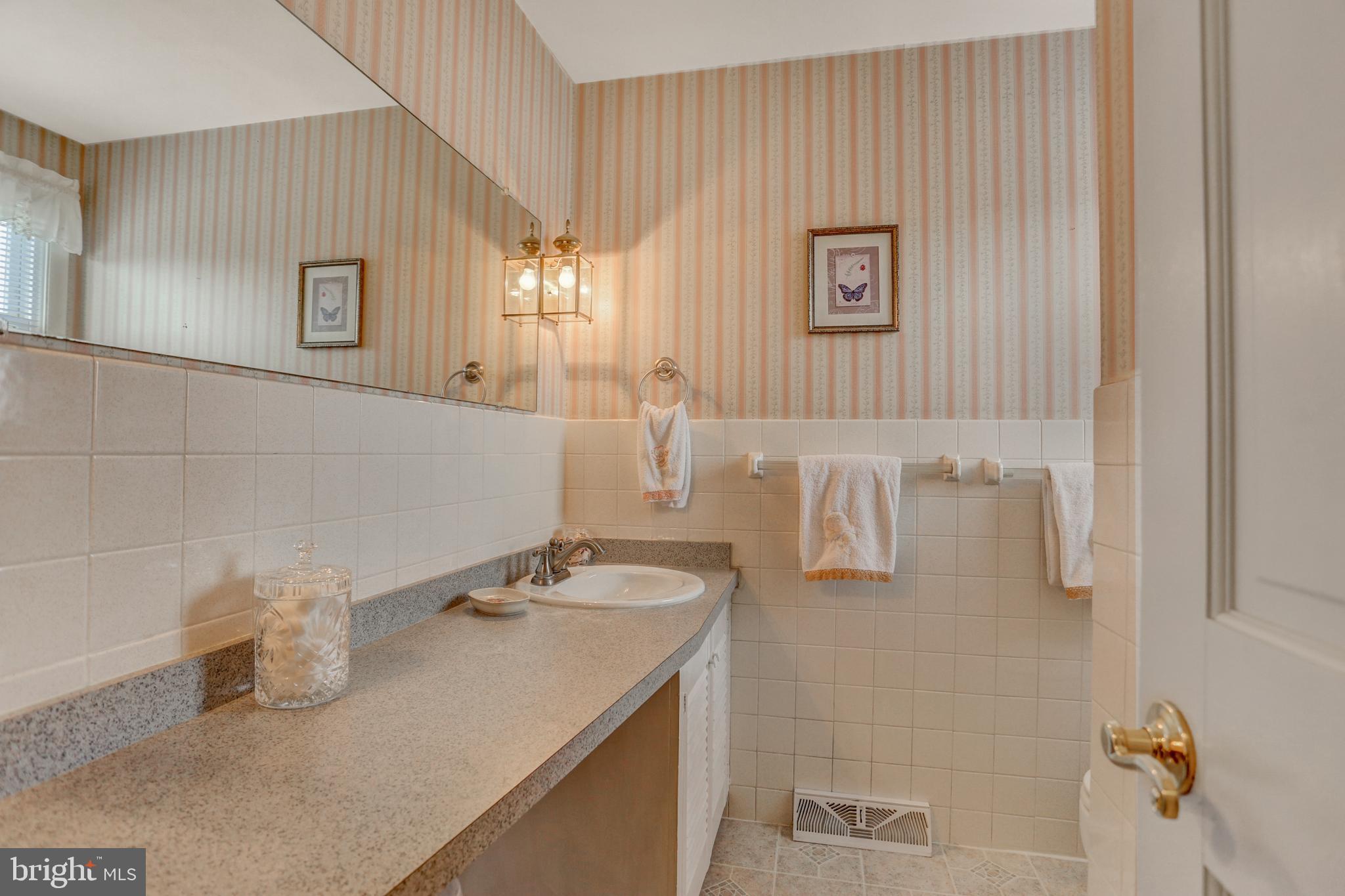 2301 Birch Road York, PA 17408 - Photo 26 of 40 a bathroom with a sink and a mirror
