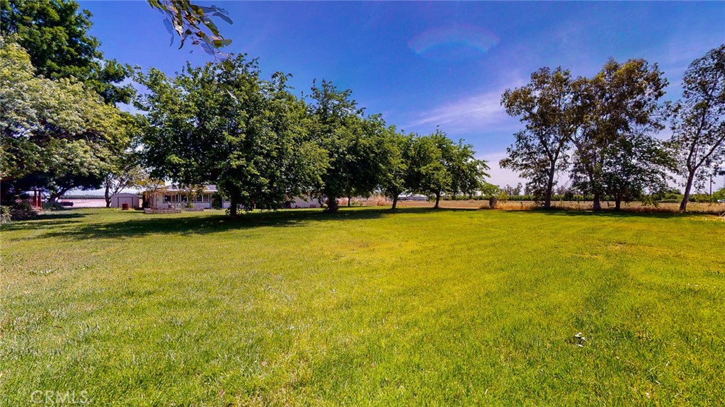 565 5th Avenue Orland, CA 95963 - Photo 16 of 18 Backyard and/or area for animals