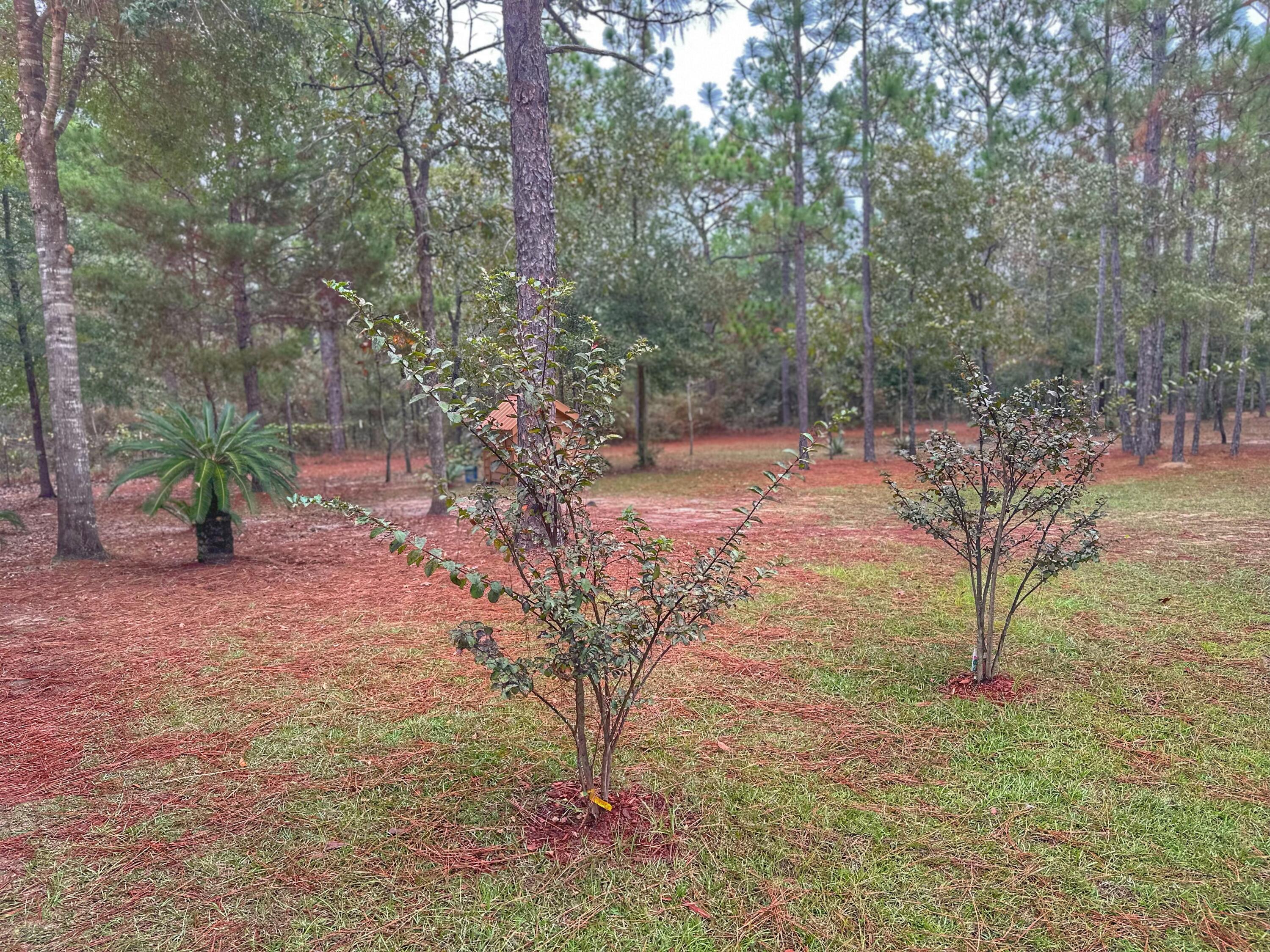 721 Coventry Road DeFuniak Springs, FL 32433 - Photo 13 of 63 IMG_5337 2