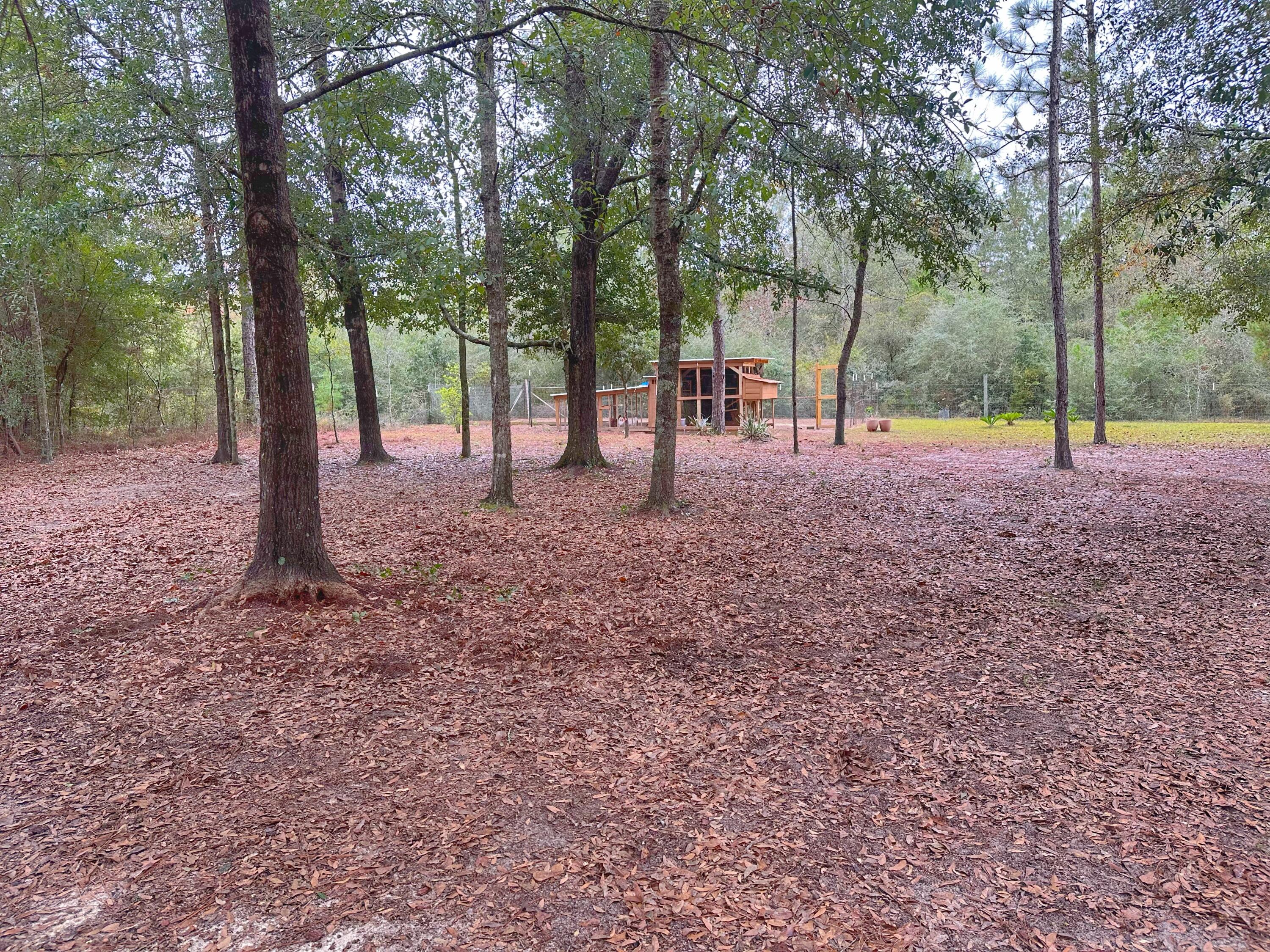 721 Coventry Road DeFuniak Springs, FL 32433 - Photo 18 of 63 IMG_5316 2