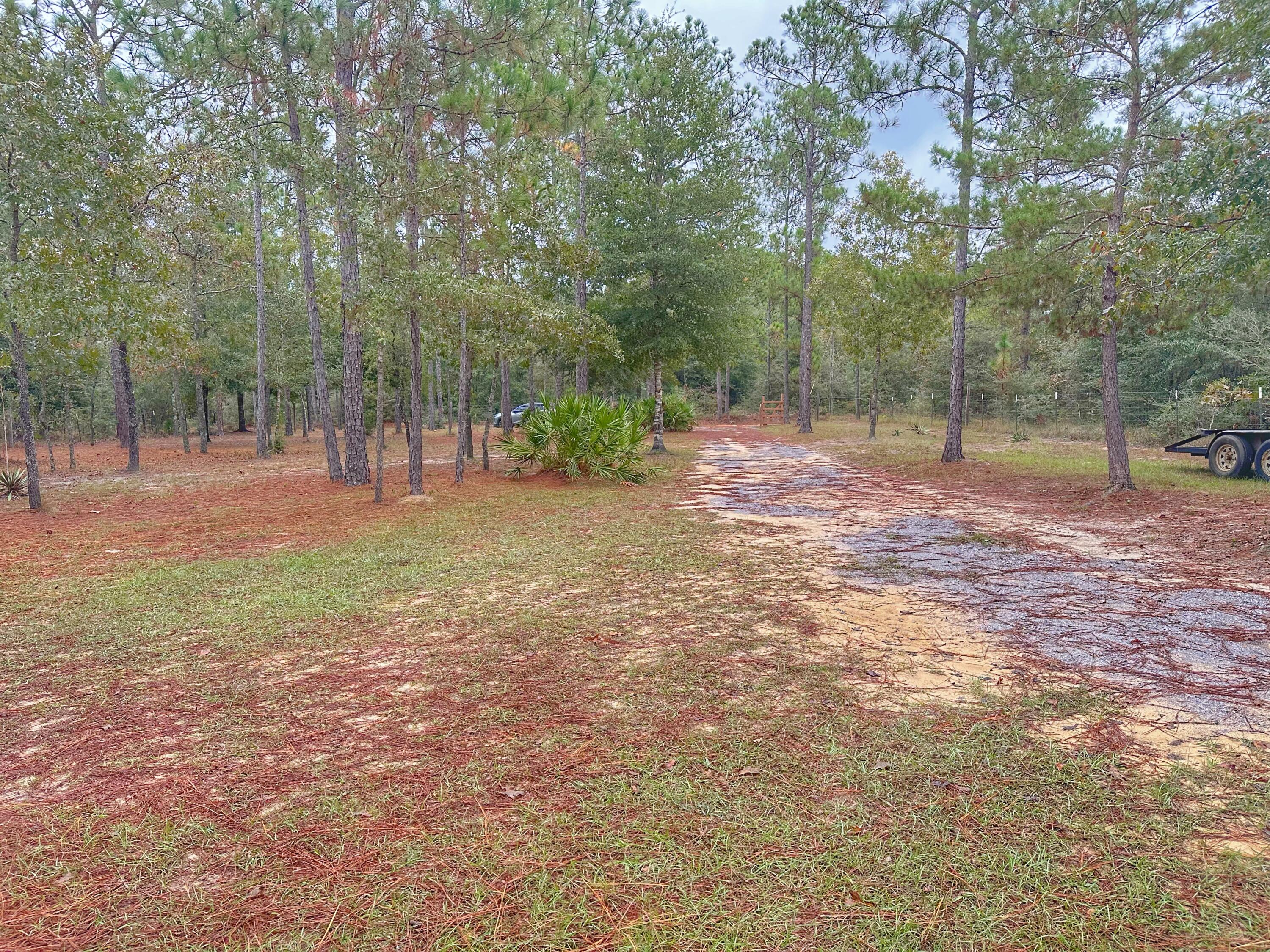 721 Coventry Road DeFuniak Springs, FL 32433 - Photo 4 of 63 IMG_5315 2