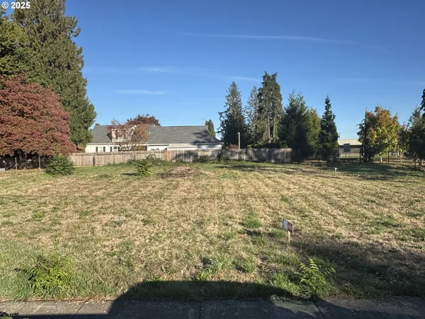 a view of a yard with an outdoor space