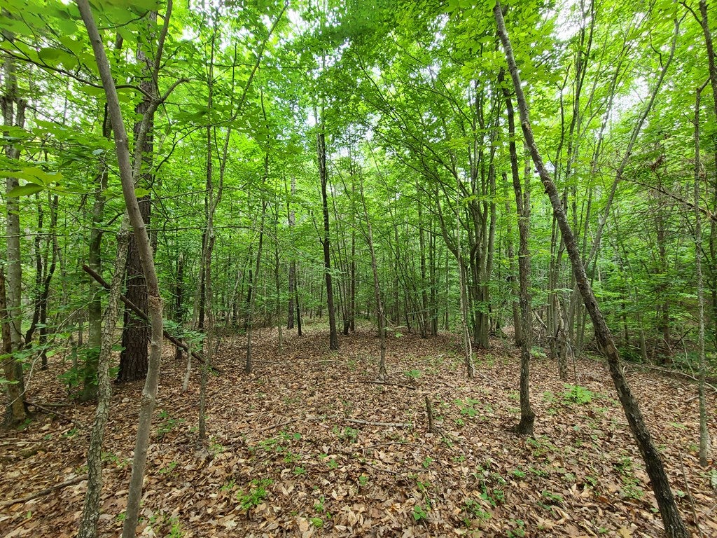 Knights View, Unit 10 Buckingham, VA 23921 - Photo 27 of 27 Gallery Image 27
