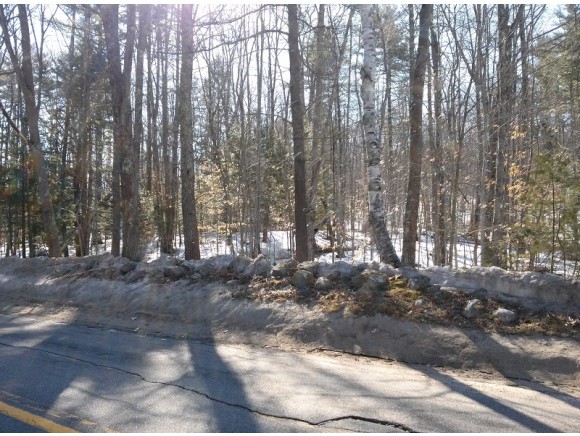 Lot 34 Lovell Lake Road Wakefield, NH 03872 - Photo 6 of 6 Gallery Image 6