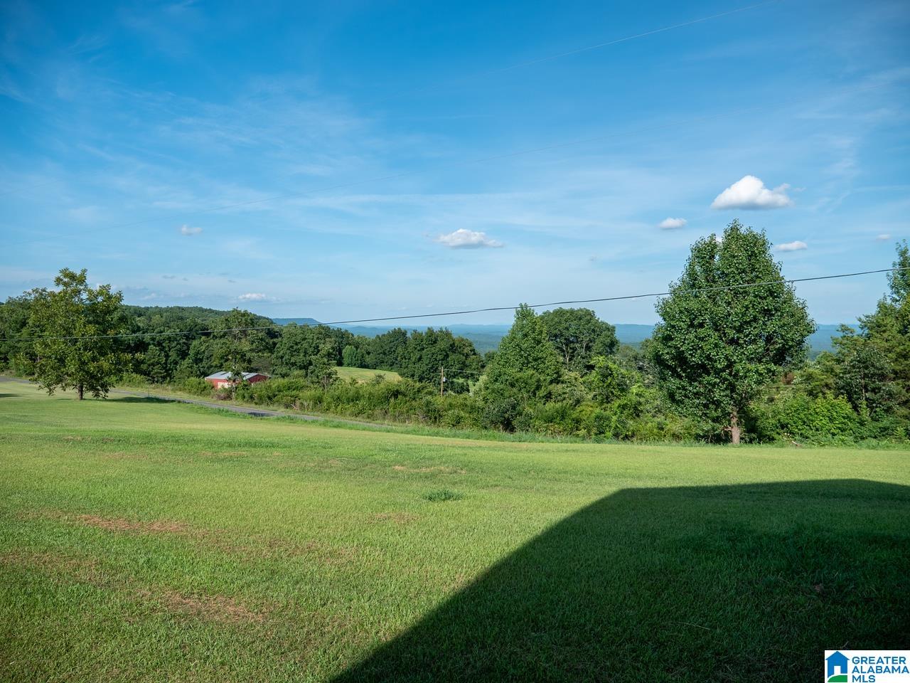 5015 Highway 24 Springville Al Springville, AL 35146 - Photo 39 of 44