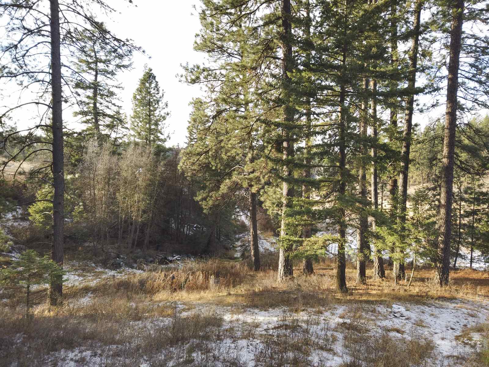 15824 East Temple Road Spokane, WA 99217 - Photo 17 of 30 Gallery Image 17