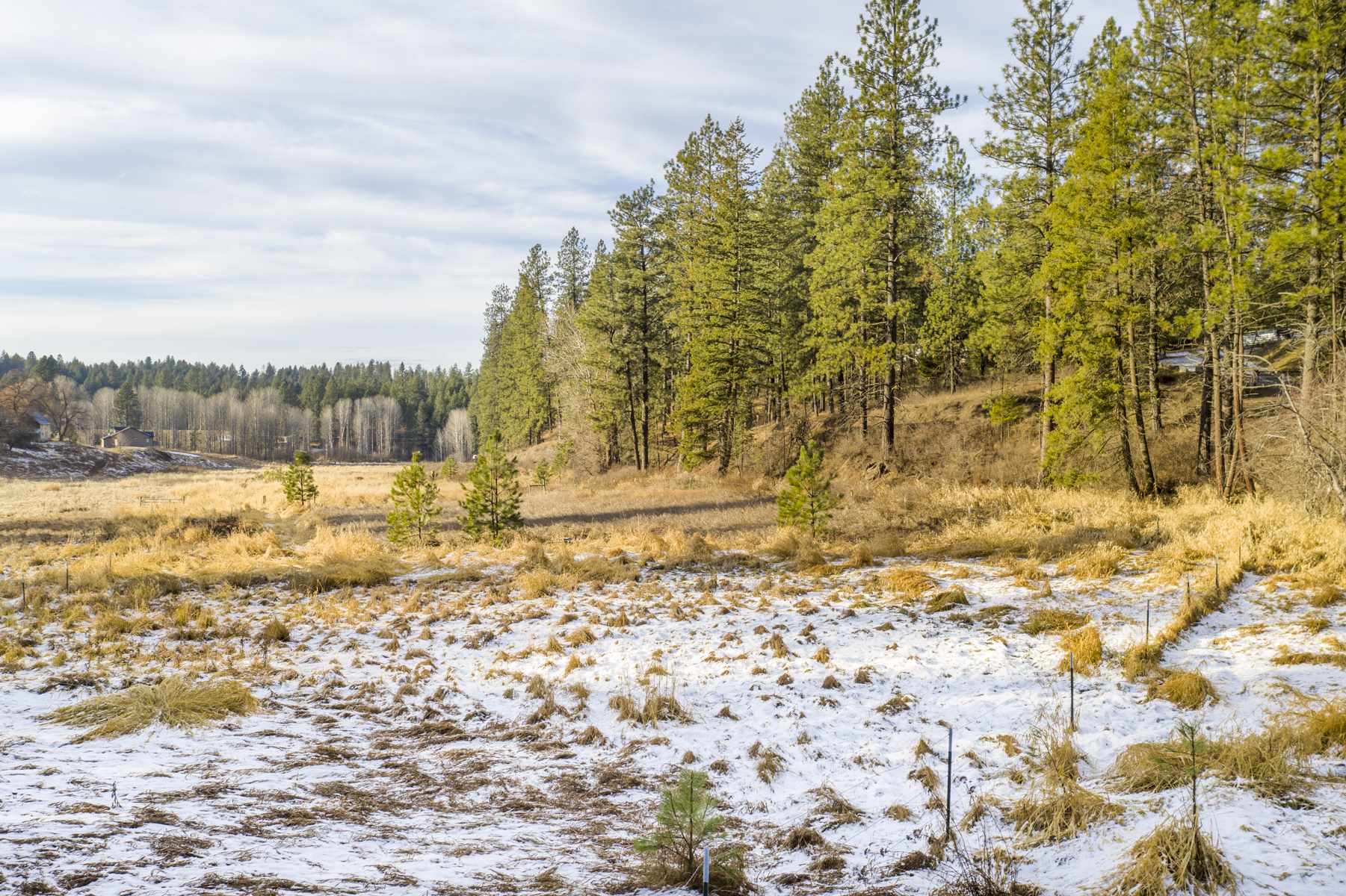 15824 East Temple Road Spokane, WA 99217 - Photo 21 of 30 Gallery Image 21