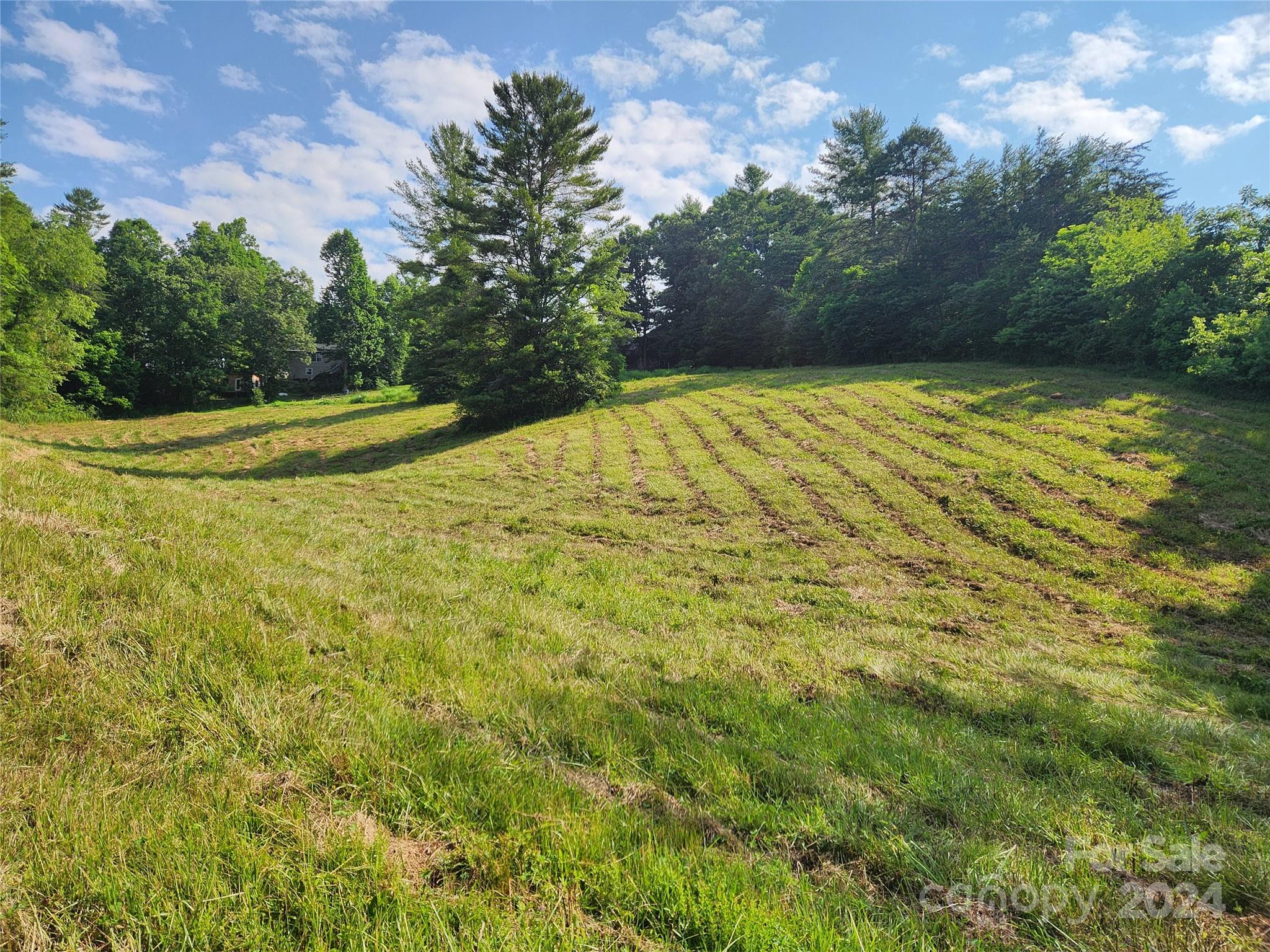 9999 Calvin Edney Road Mars Hill, NC 28754 - Photo 1 of 16 Gallery Image 1