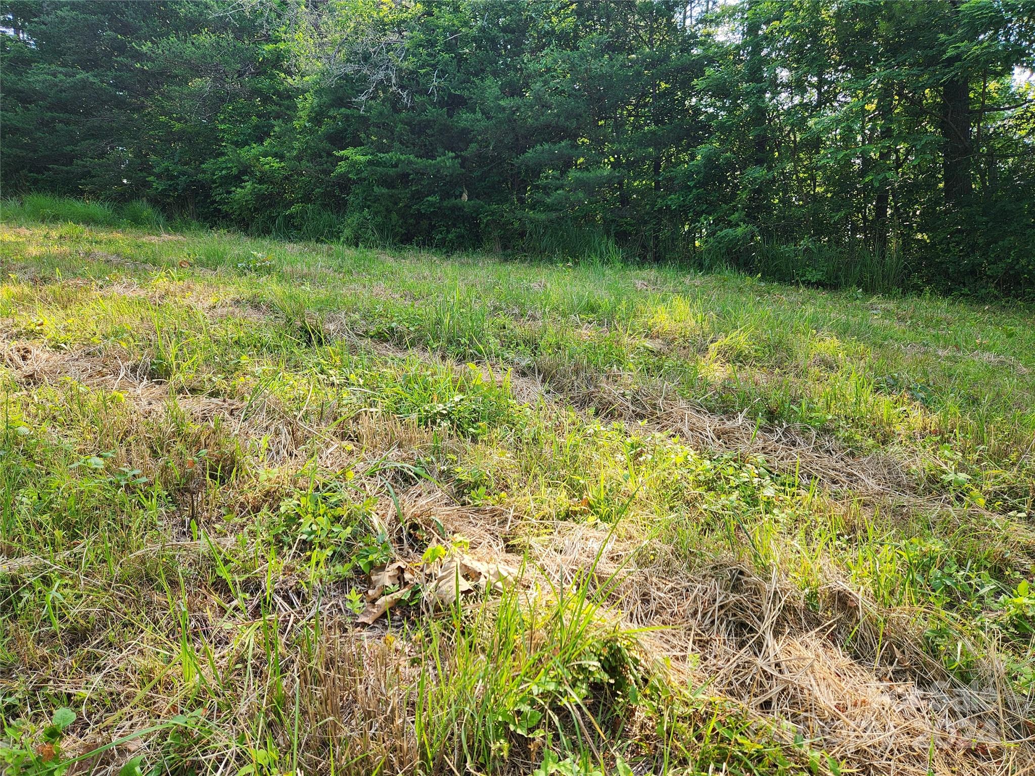 9999 Calvin Edney Road Mars Hill, NC 28754 - Photo 12 of 16 Gallery Image 12