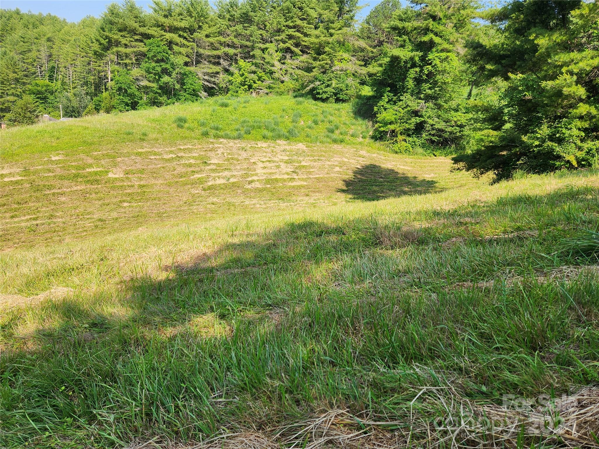 9999 Calvin Edney Road Mars Hill, NC 28754 - Photo 13 of 16 Gallery Image 13