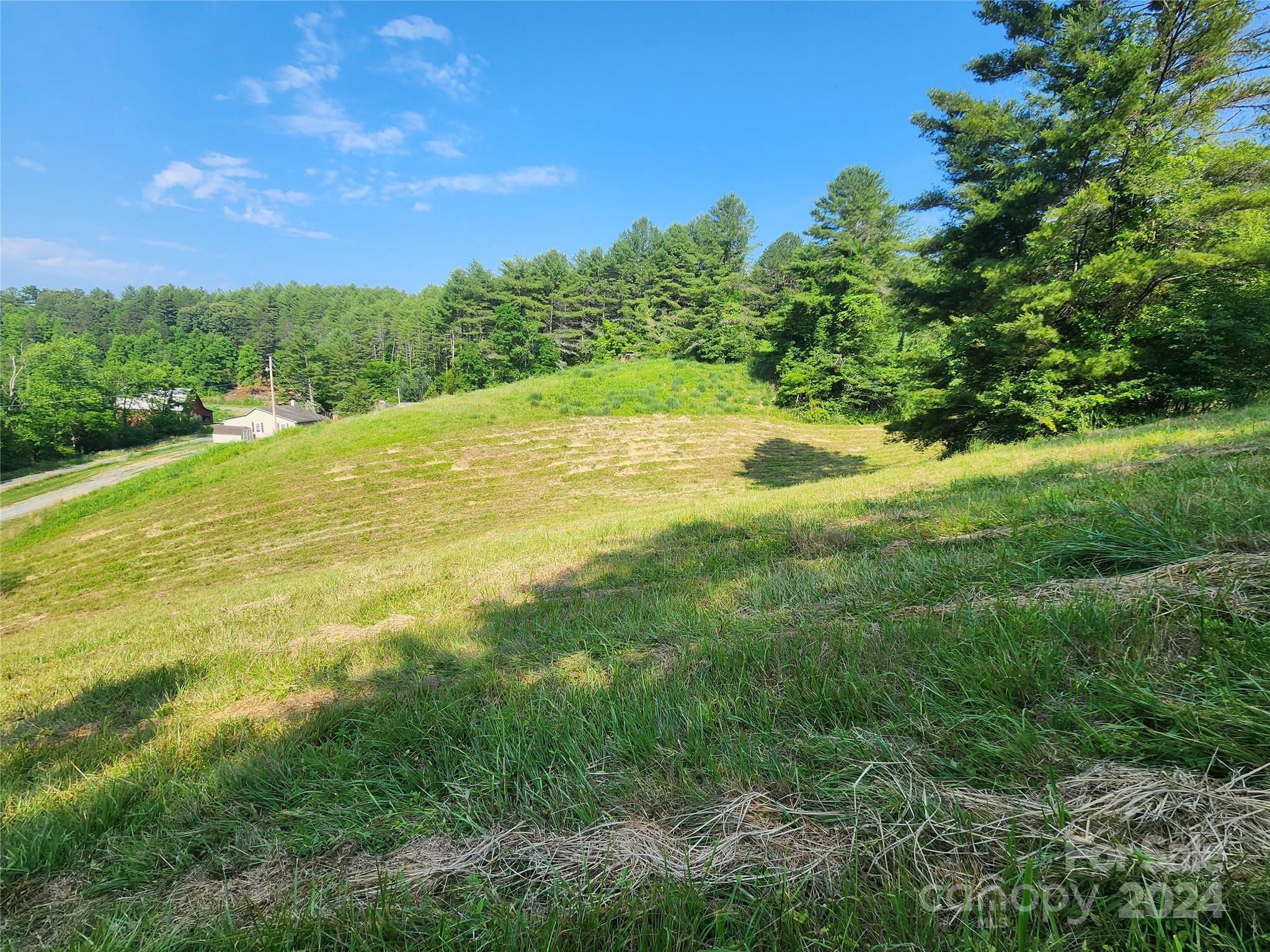 9999 Calvin Edney Road Mars Hill, NC 28754 - Photo 2 of 16 Gallery Image 2