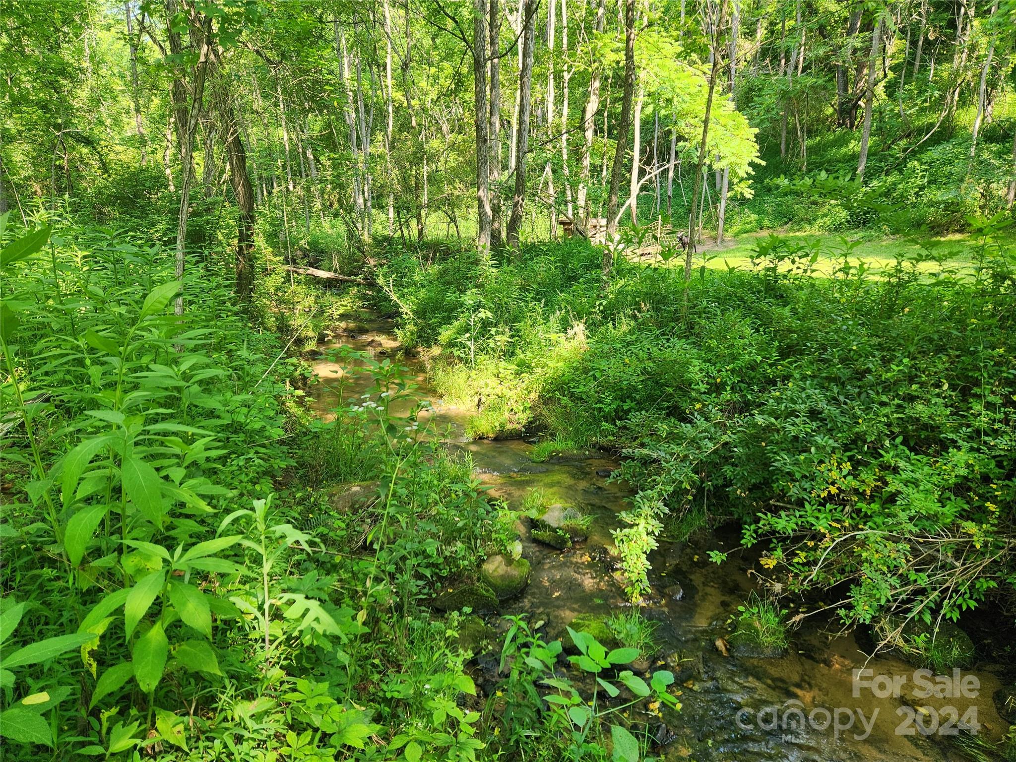 9999 Calvin Edney Road Mars Hill, NC 28754 - Photo 3 of 16 Gallery Image 3