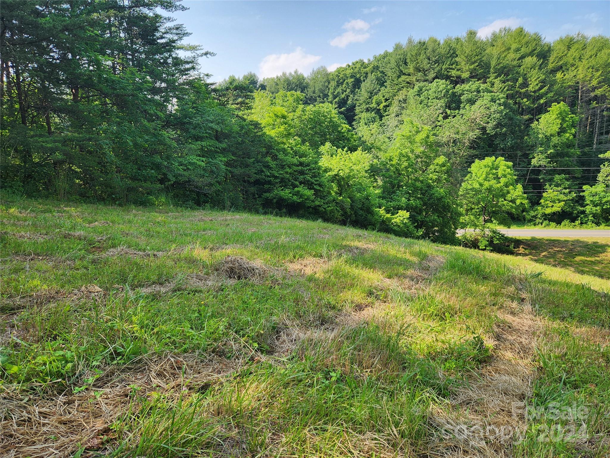 9999 Calvin Edney Road Mars Hill, NC 28754 - Photo 5 of 16 Gallery Image 5