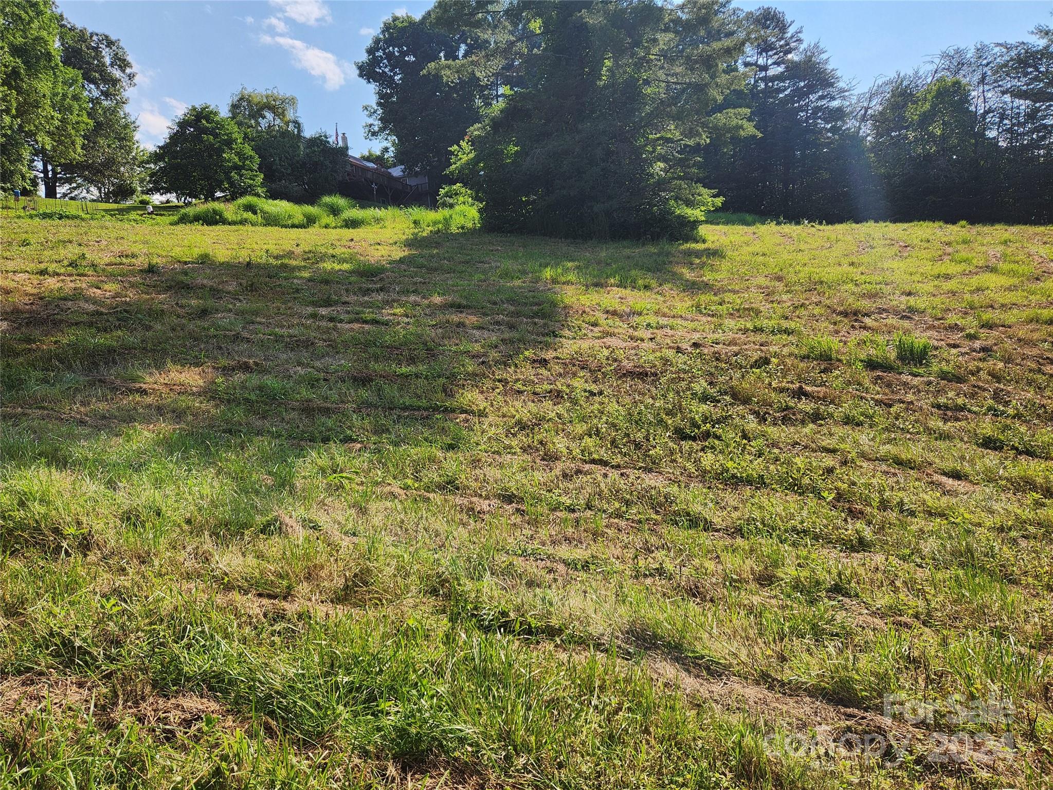 9999 Calvin Edney Road Mars Hill, NC 28754 - Photo 6 of 16 Gallery Image 6