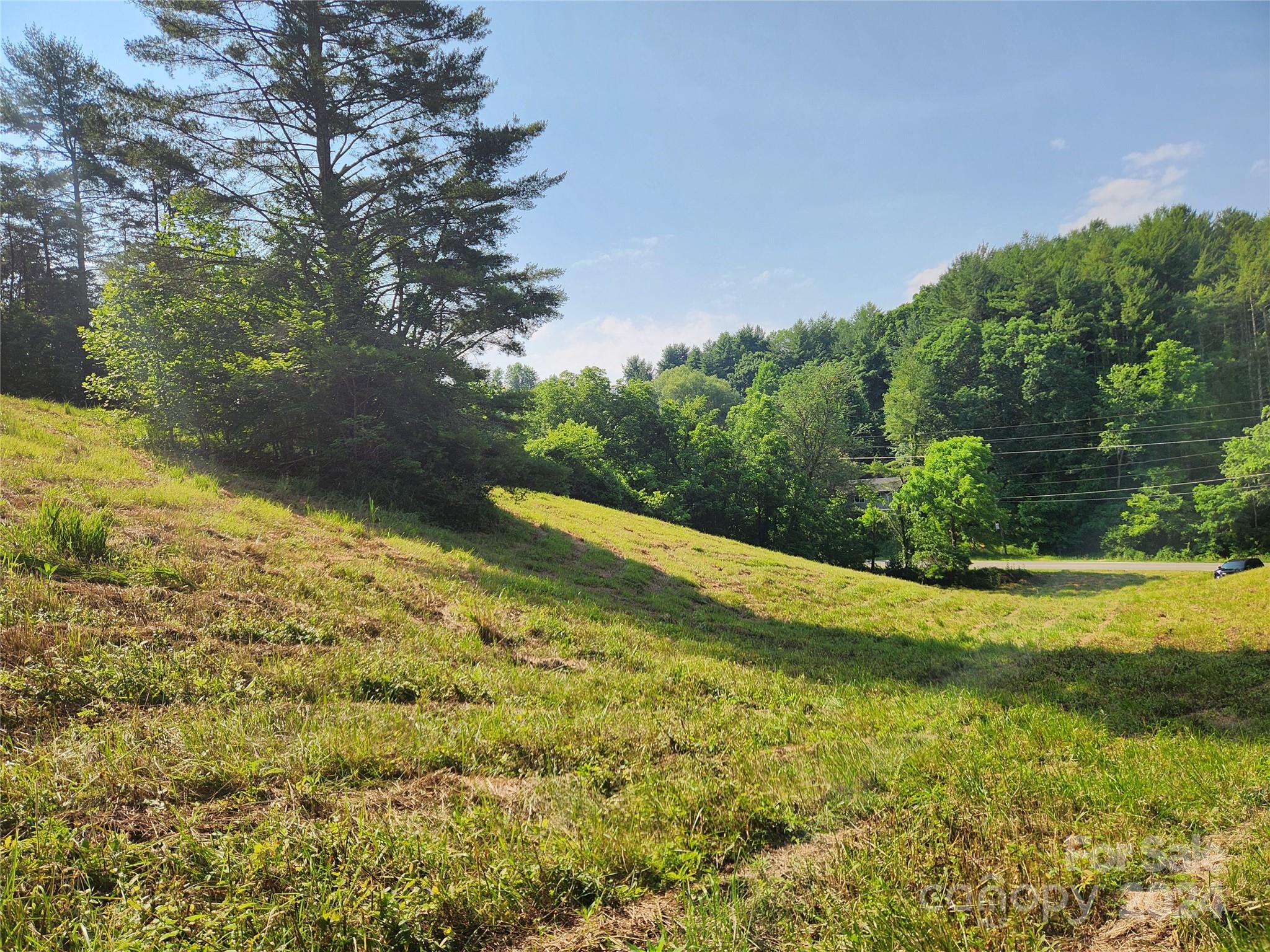 9999 Calvin Edney Road Mars Hill, NC 28754 - Photo 8 of 16 Gallery Image 8