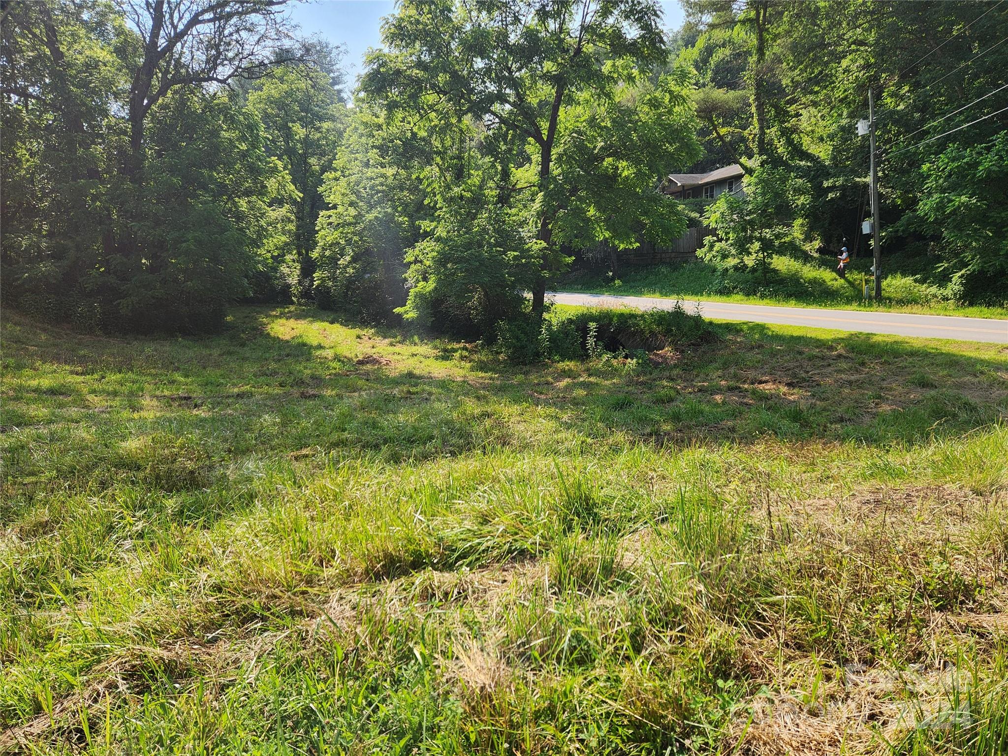 9999 Calvin Edney Road Mars Hill, NC 28754 - Photo 9 of 16 Gallery Image 9